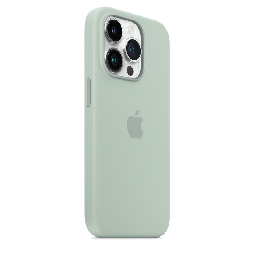 iPhone 14 Pro Silicone Case with MagSafe - Succulent Get best offers for iPhone 14 Pro Silicone Case with MagSafe - Succulent