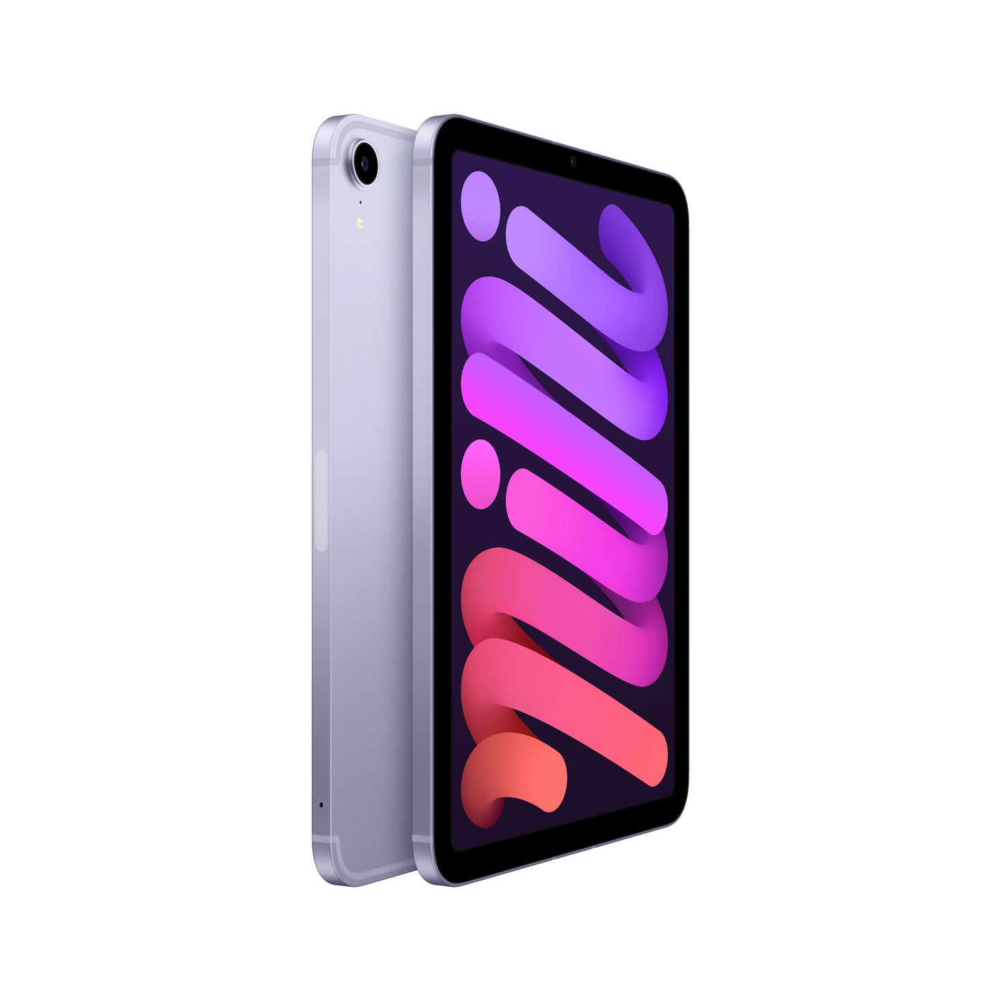 2021 iPad mini Wi-Fi + Cellular 256GB - Purple (6th generation)