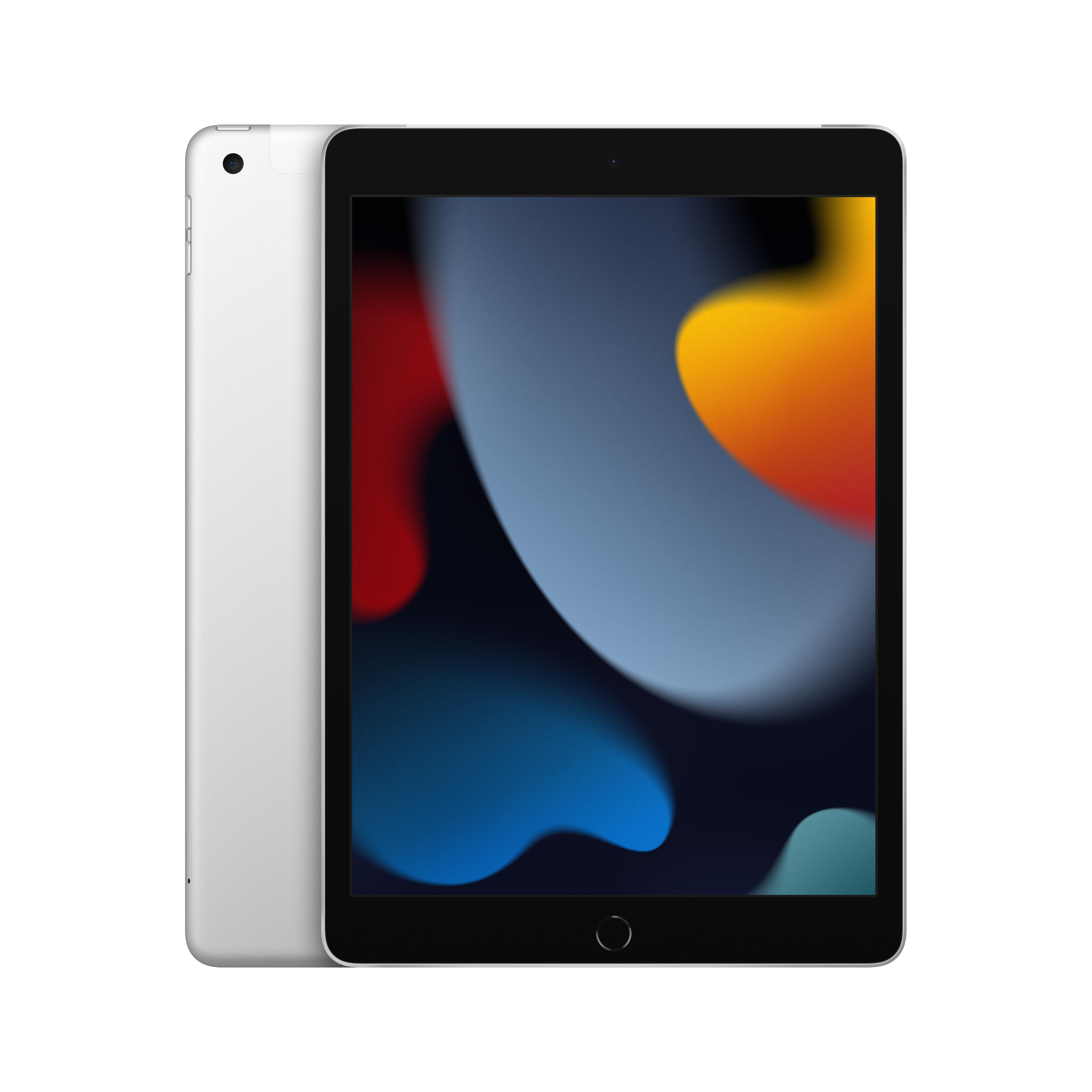 2021 10.2-inch iPad Wi-Fi + Cellular 256GB - Silver (9th generation) –  Imagine Store -03/12/2024